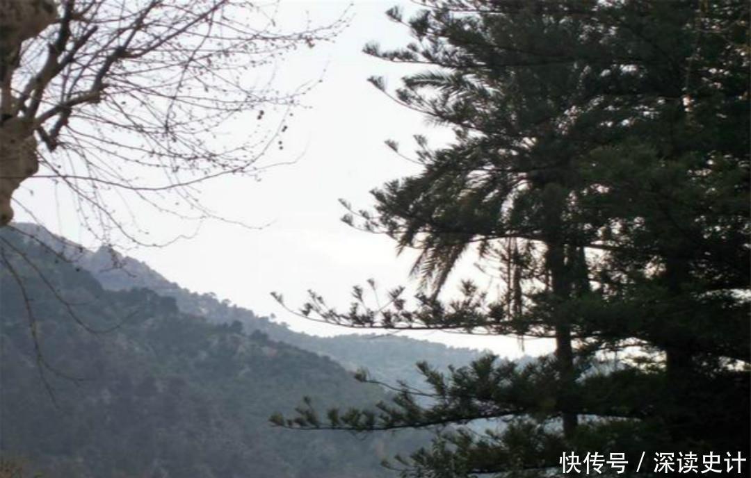 柳宗元另一首孤独的诗,同样写得很凄美,可以比肩那首《江雪》!