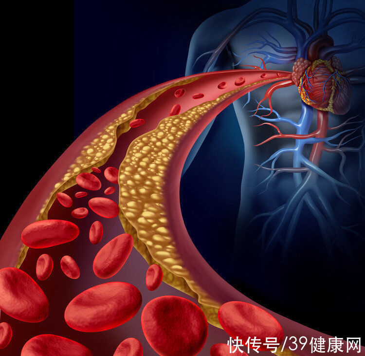 大鱼大肉|怎么判断肾的好坏?若没有这5个表现,说明肾很健康,不用担心