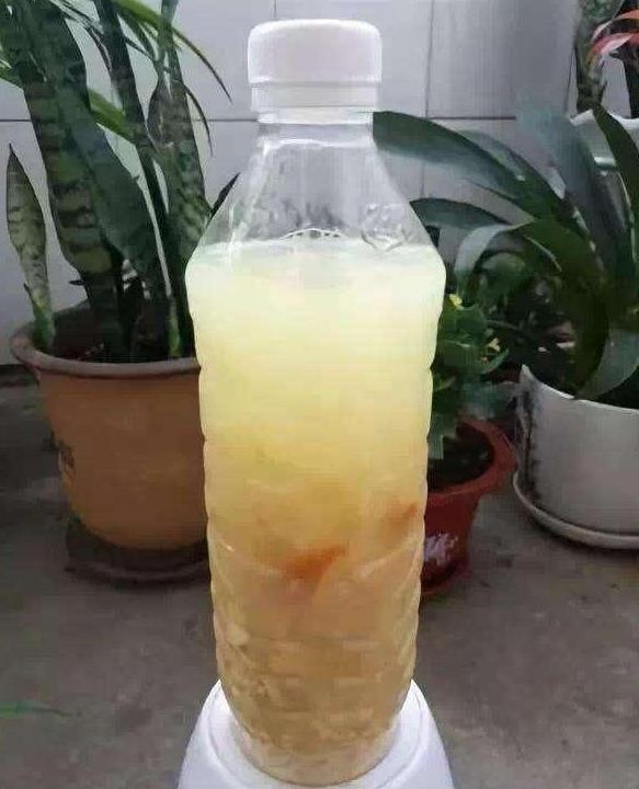 家家户户都有的黄豆，该如何制成''长个肥''酵熟、兑水、浇花