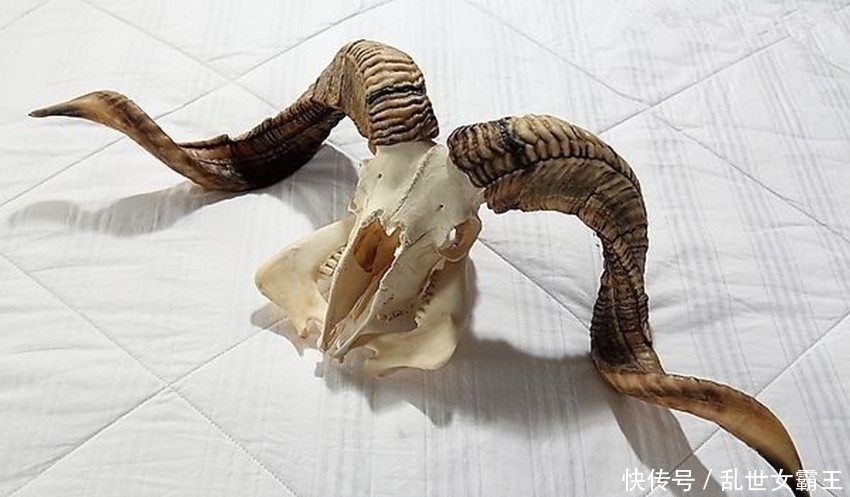 暗器|中国古代真实存在的4大冷兵器,全都知道算你厉害!