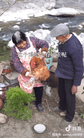 “做菜失敗了也不影響你長胖”，幽默老夫妻靠做飯圈粉超1000萬