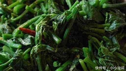 陟彼南山|它过了夏天吃不到,现在最好吃,纯天然无污染,再贵也要吃!