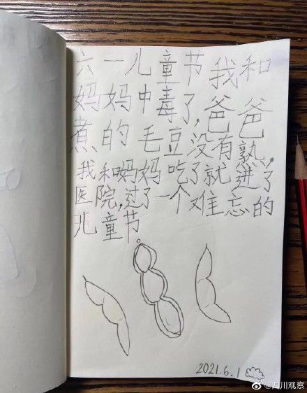 小女孩$可可爱爱！小女孩的日记本太治愈了