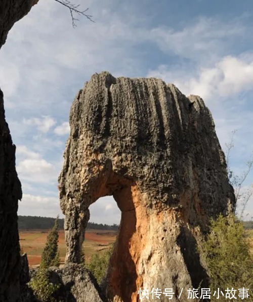 石台|纳尼，大象不是离开昆明了吗？怎么石林还有？