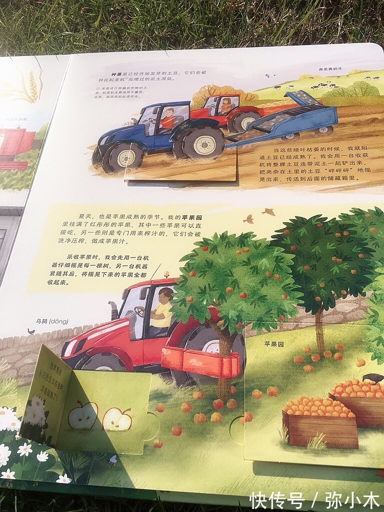 亚当·汉森|孩子想拥有农场?很好的愿望,先来认识真实农场的模样吧