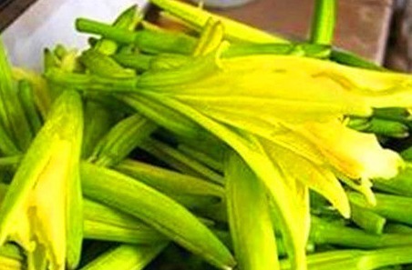 维生素e|人到中年,适合吃的食物,排毒养颜,调理肠胃,预防妇科疾病