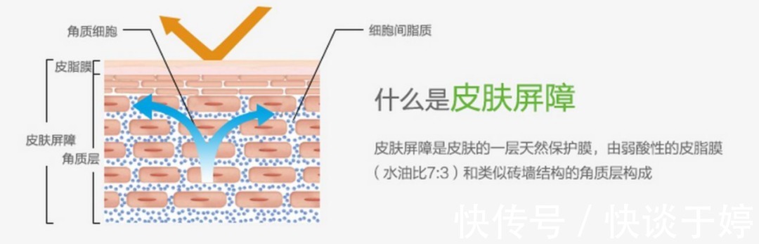 肌肤|肌肤屏障受损,多数因为护肤习惯差!