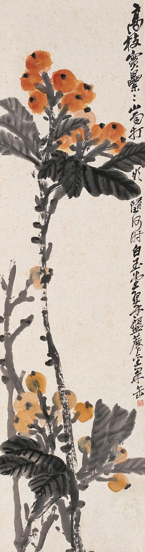 吴昌硕|春天里最期待吴昌硕家的枇杷一个个果大肉肥,让人看了都眼馋