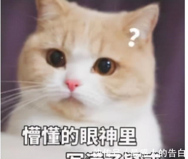 皮肤干燥 唇部护理有多重要没做好涂再贵的口红也是浪费,很多人都忽视了!