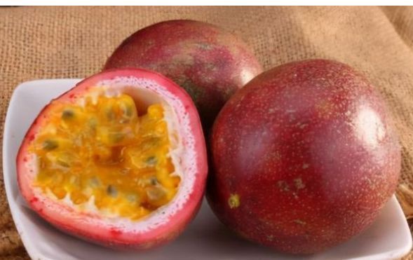 春节|很快就要过春节了,室内摆放好3种富贵果,寓意身康体健幸福快乐