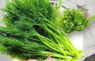 人体|男女离不开的食物，坚持食用，增进食欲，排毒清肠，提高免疫力