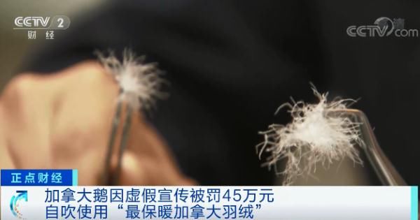 央视财经|这个知名品牌，欺骗中国消费者，罚！