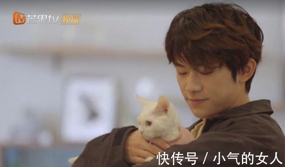 何炅|《朋友請聽好》真的治愈嗎要不是張新成,大家還被蒙在鼓里