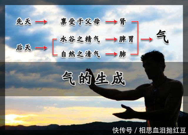 中医所谓的''气''是指什么值得一看的''气''的生成运行和功能分类