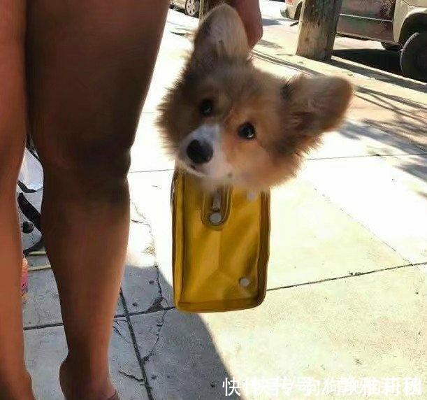 |爆笑段子:那脸上的几道血印子非常醒目,到现在都感觉对不起他