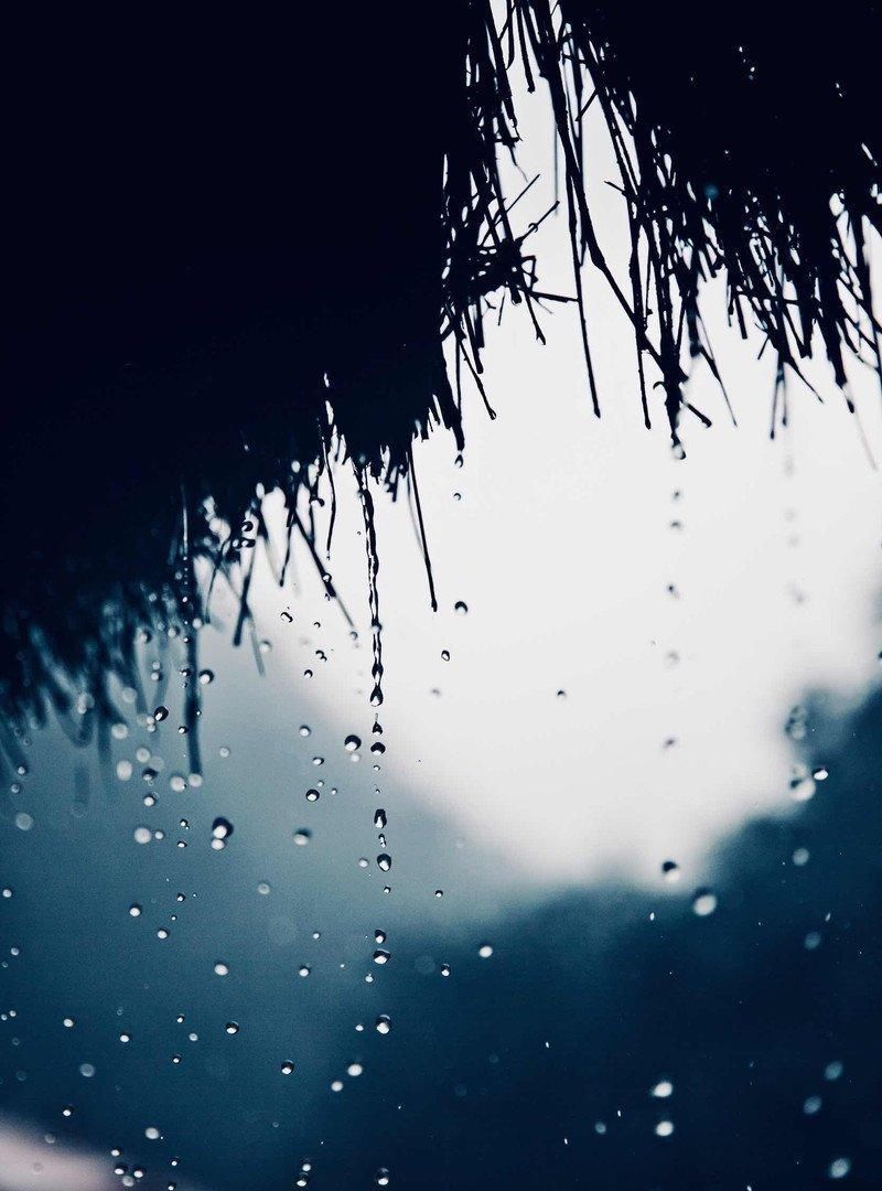  雨滴|一场春雨一场暖，春雨怎么拍才有味这些作品给你灵感