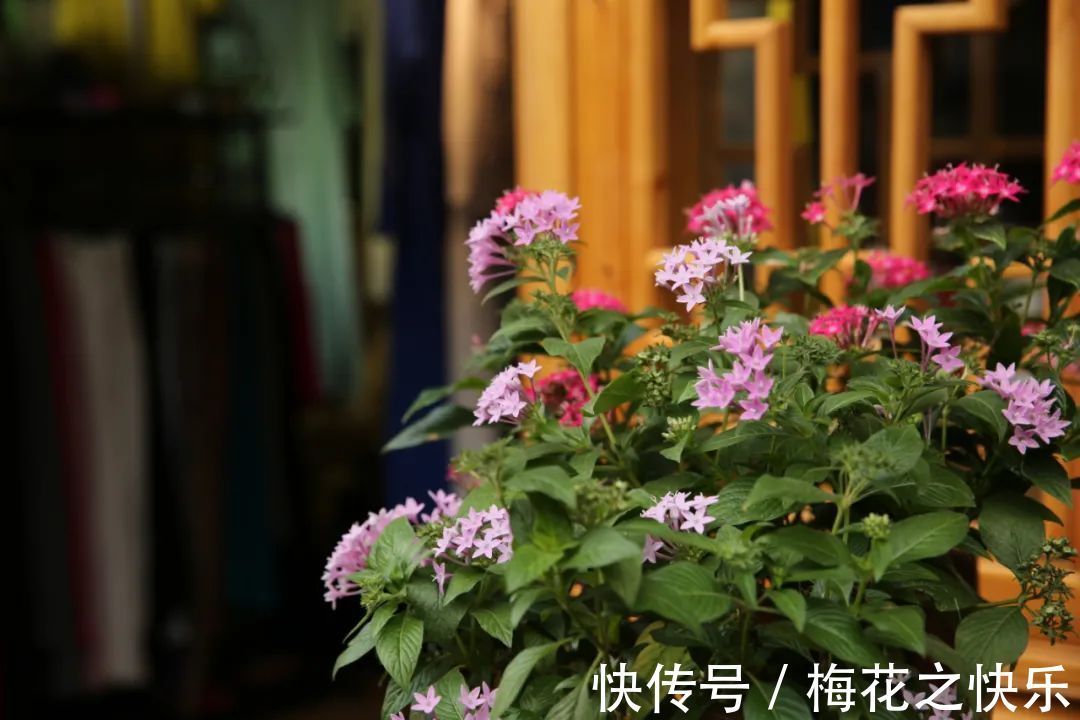 |古人10则小笑话,有理有趣有深意