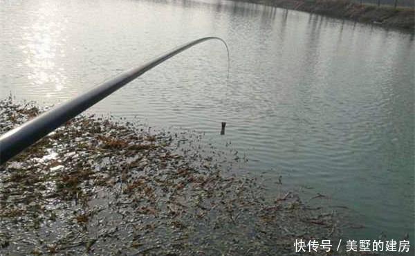 成群|冬季钓鲫鱼,注意这些打窝和补窝细节,窝点鱼成群,鱼口不间断