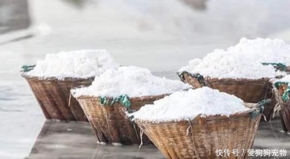 餐饮|做餐饮的,为何都做不过川菜