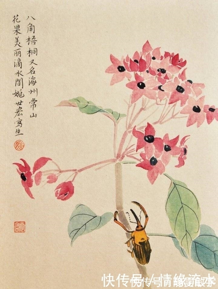 姚世宏@细闻如天籁——读姚世宏的国画草虫近作