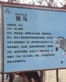 |搞笑GIF:带女朋友去动物园 我感觉好像被骗了