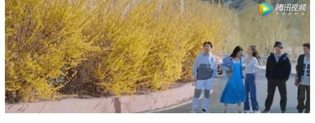 翻车|《五十公里桃花坞》孟子义翻车不断，上演打脸名场面，遭观众群嘲