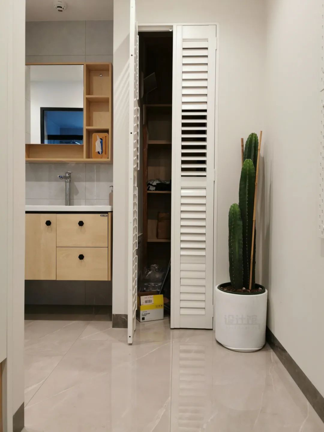 千年木|哪些可以提升空间质感的绿植?这10种绿植摆在家里,空间很有气质