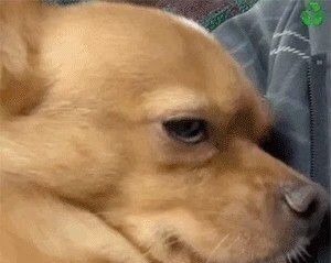 误解 男生对口红都有哪些误解?口红色号就是价格?999是皮炎平?