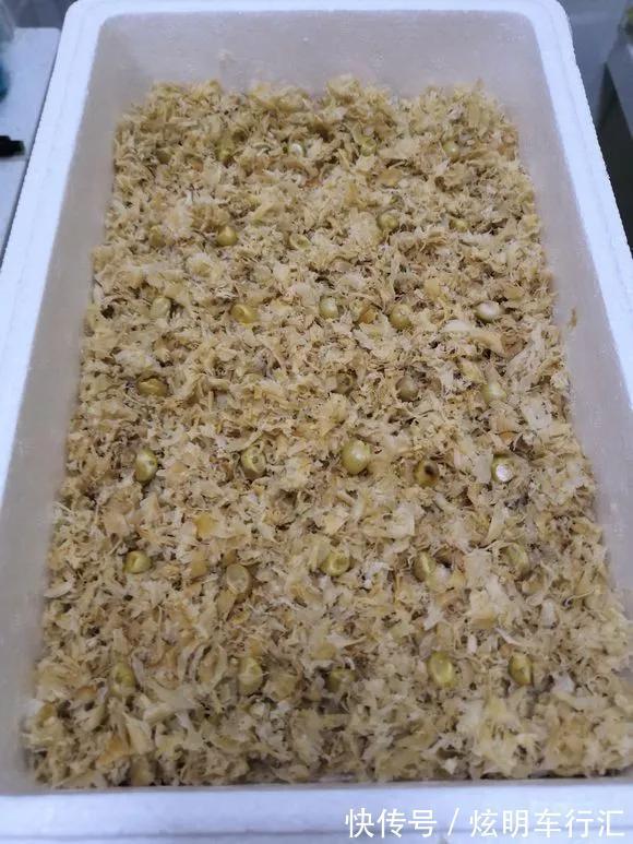 君子兰|3种“碎渣渣”,是养花的好材料,掺土里花儿蹭蹭长,开爆盆!