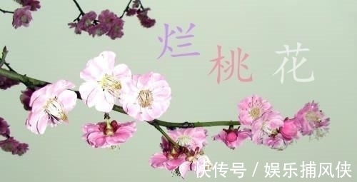 生肖兔|哪几个生肖，最容易犯“烂桃花”，如何“避”烂桃花呢？