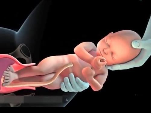 过程|顺产的全过程到底是怎样的,生而为人需了解,请勿泪奔