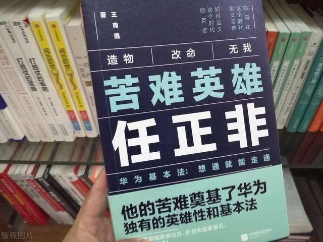 孟君|打败孟军,成为任正非第二任老婆,姚安娜生母为何又输给女硕士?