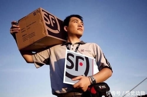 离职|为啥快递行业出现“招工难”，月薪8千却没人干离职快递小哥说出真相