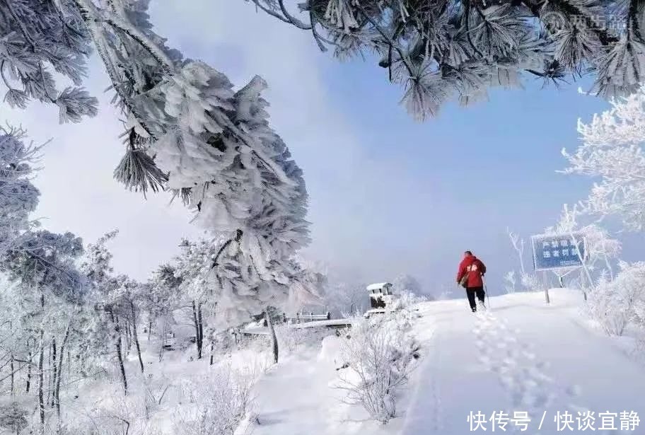中年|难得一见的春日雪景,美到心醉!