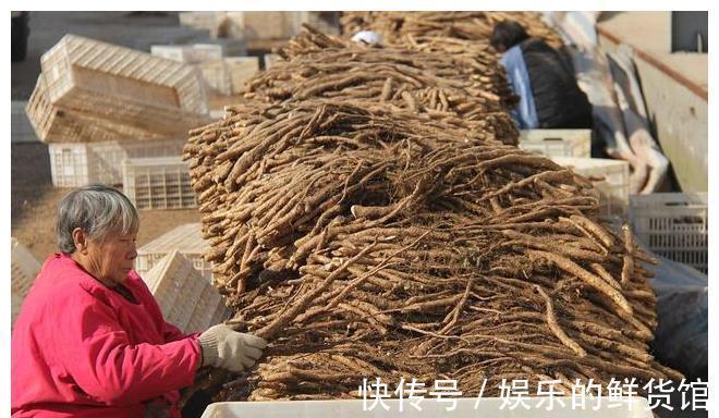 麻山药|山药大量上市,关于山药的小秘密,你应该知道,请告诉身边的朋友