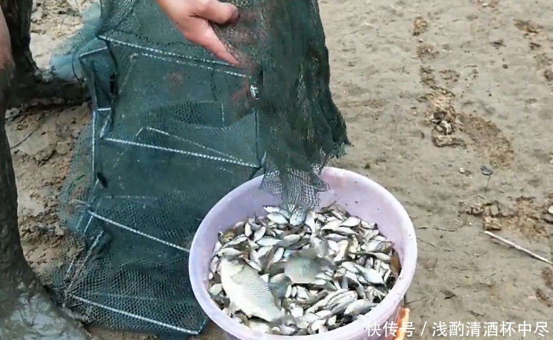 野生鱼越来越少，是因为钓鱼人造成的，钓鱼人：这个锅我们不背