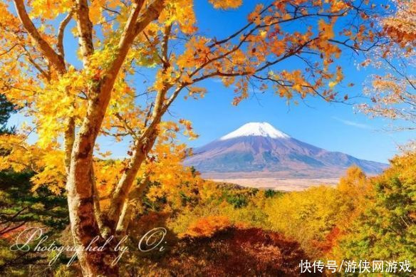 让人挪不开眼！日本富士山的四季美景 绝美风光一览