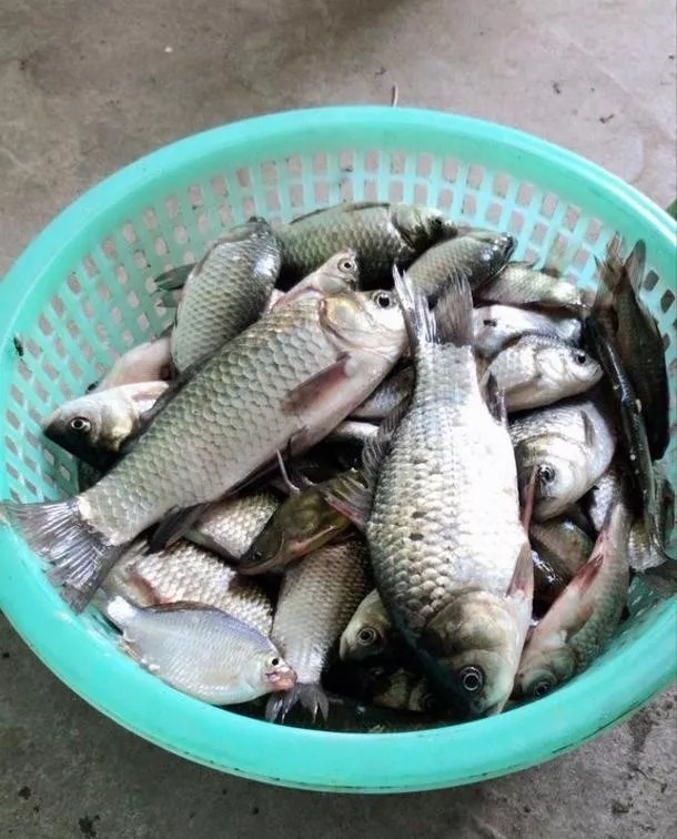 冬天用传统钓不会抓口?记牢这5个漂相,每次提竿都有大板鲫上岸