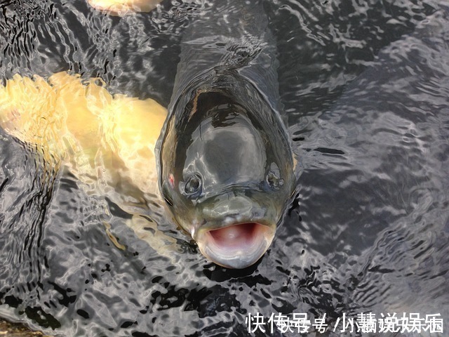 养肝|90岁退休肝科主任，提醒：多吃“一物”，养肝更护肝