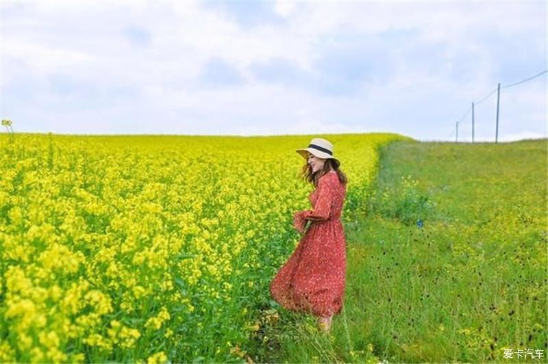 花海如梦幻泡影，感觉走进了梵高的一幅油画里