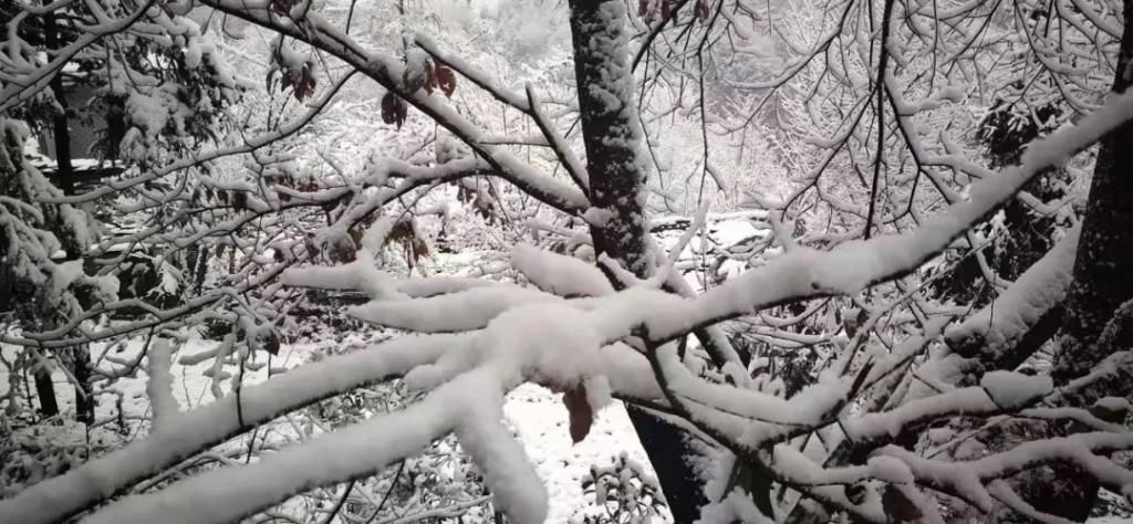 县区|初雪！周边县区雪景美图来袭！