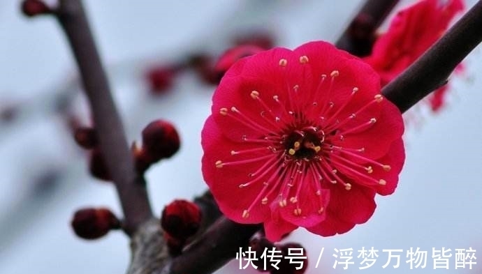 诗篇$与宋之问《渡汉江》同主题的10大诗篇排行榜,榜首很多人想不到