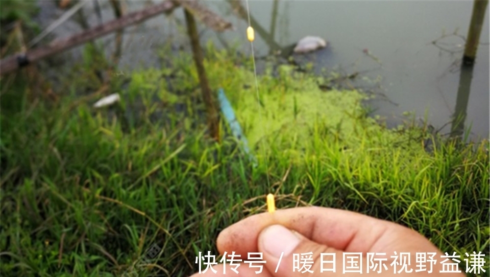 七星漂钓组|七星漂的调漂技巧:差不多就行,不讲究灵钝,毕竟上鱼才是硬道理