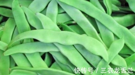 幼苗|扁豆营养价值高还能美容养颜、抑癌抗瘤，那么如何高产栽培呢？