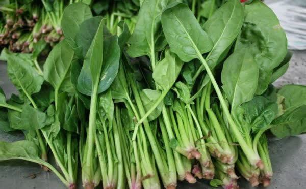 玮玮|2物是长个“抑制剂”,娃儿经常吃身高或会减少9公分