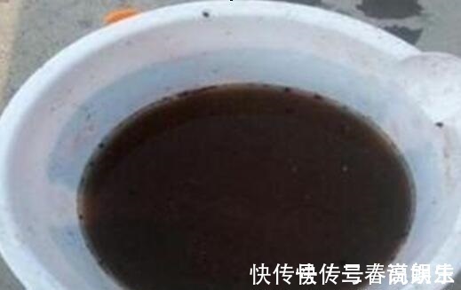 花盆|9月开始，养桃蛋“牢记”2个字，半年养的“胖嘟嘟”，萌化了