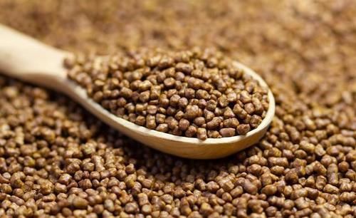 打针|天然胰岛素来啦，少花钱不打针，好用到哭，简直是血糖吸尘器！