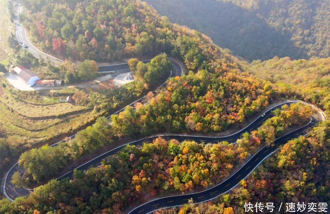 公路|这条藏在远安的旅游公路，惊艳了秋天，美成了童话