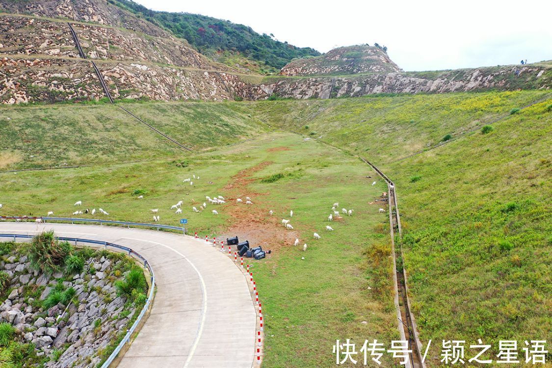 大目湾|象山有片芦苇荡，围涂工程的杰作，芦苇荡里好钓鱼