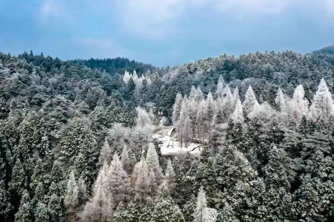 美景|华顶迎今年首场雾凇！天台山美景刷爆朋友圈！